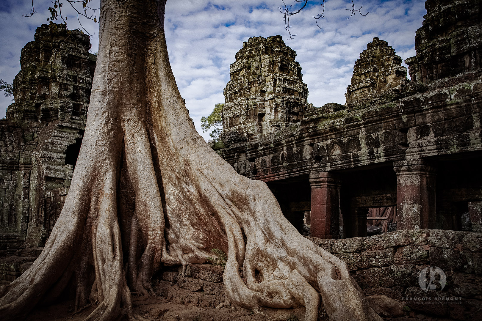 Angkor & Siem Reap